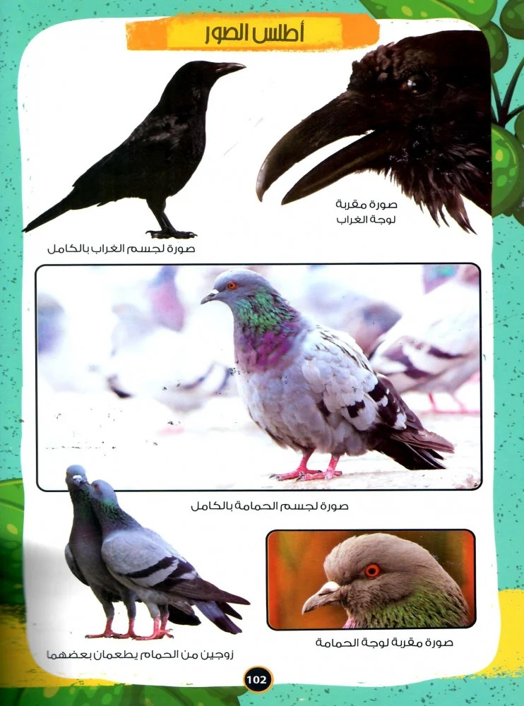  قصص الحيوان في القران الكريم